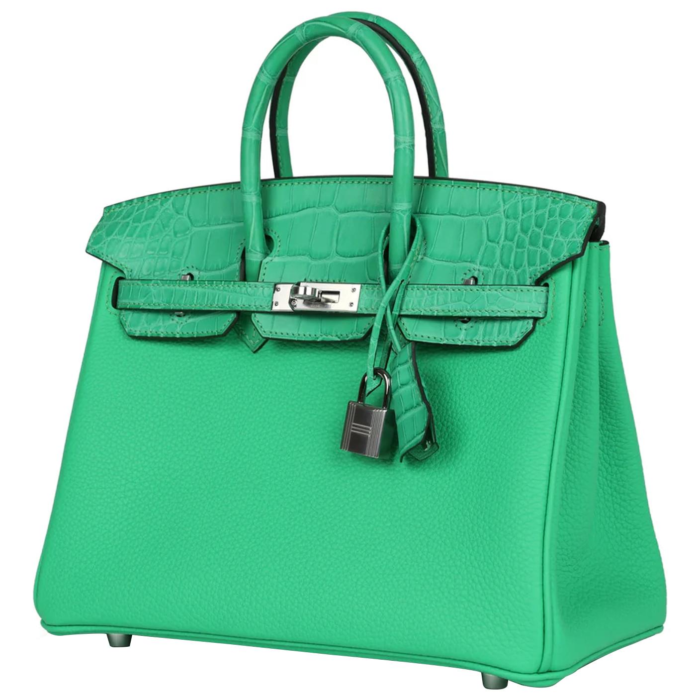 Donna Hermes Birkin 25 Vert Comics Togo Matte Alligator Touch Palladium Hardware in vendita