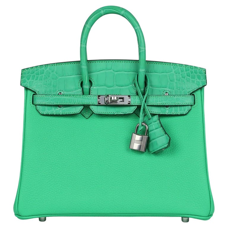 Hermes Birkin 25 Vert Comics Togo Matte Alligator Touch Palladium