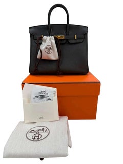 Hermès Birkin 25 Vert De Gris Togo Leather With Gold Hardware Handbag