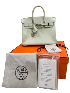 Hermès Birkin 25 Vert Fizz Swift Leather With Palladium Hardware Handbag