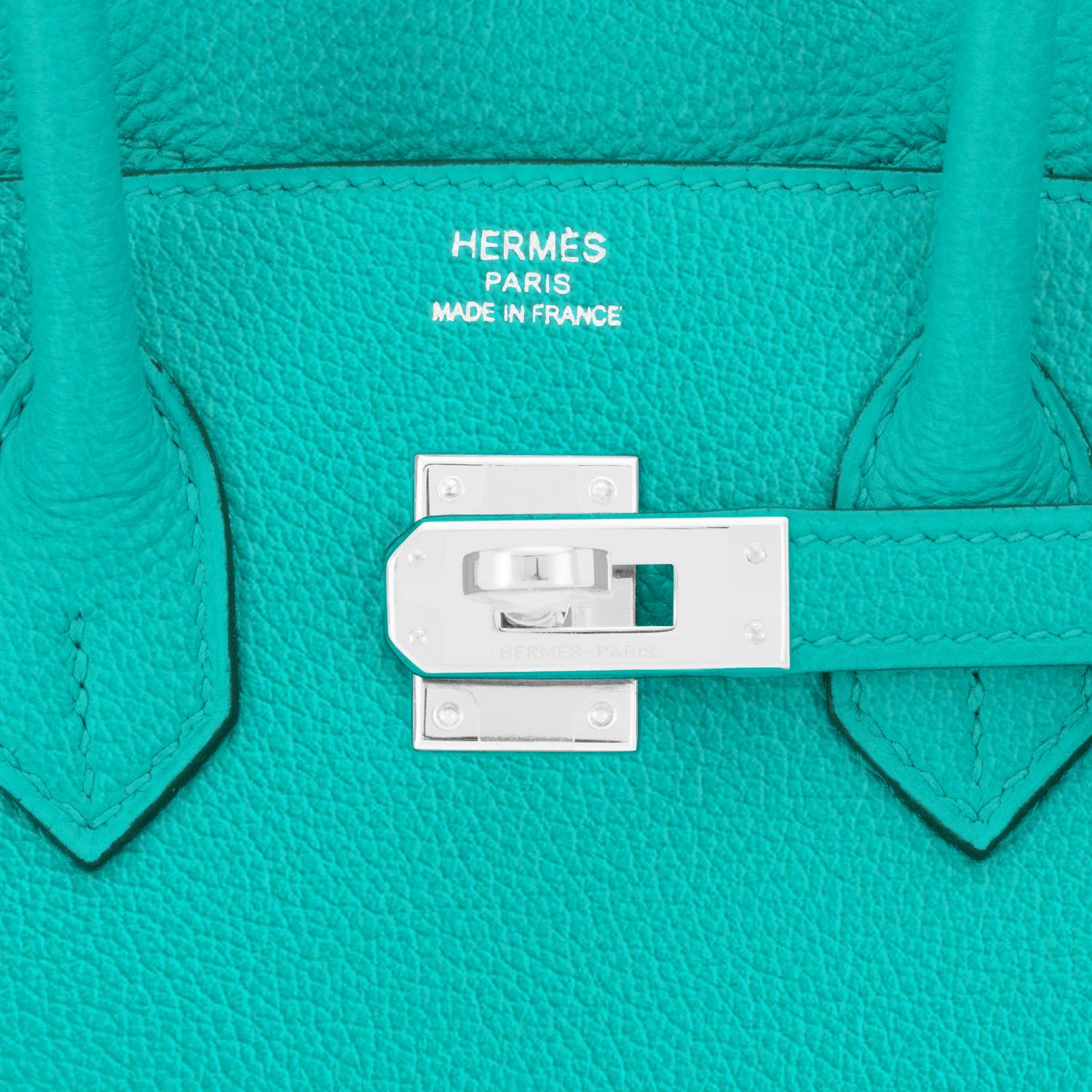 Hermes Birkin 25 Vert Verone Rose Lipstick Jewel Lagoon Verso Bag Z Stamp, 2021 4