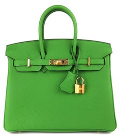 Hermes Birkin 25 Vert Yucca Grüne Togo Lederhandtasche mit Goldbeschlägen 2023
