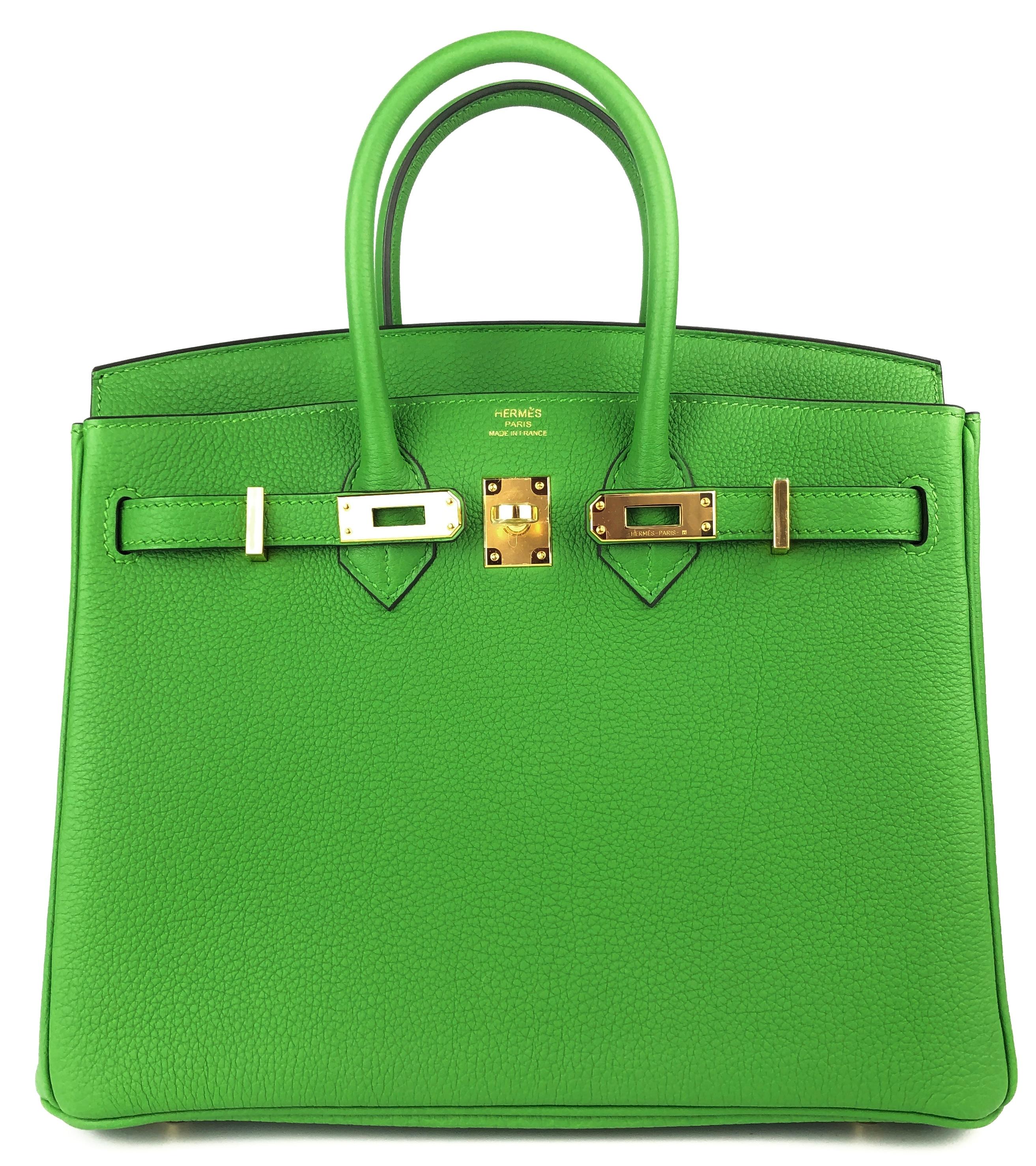 Hermes Birkin 25 Vert Yucca Green Togo Leather Handbag Gold Hardware 2023 In New Condition For Sale In Miami, FL