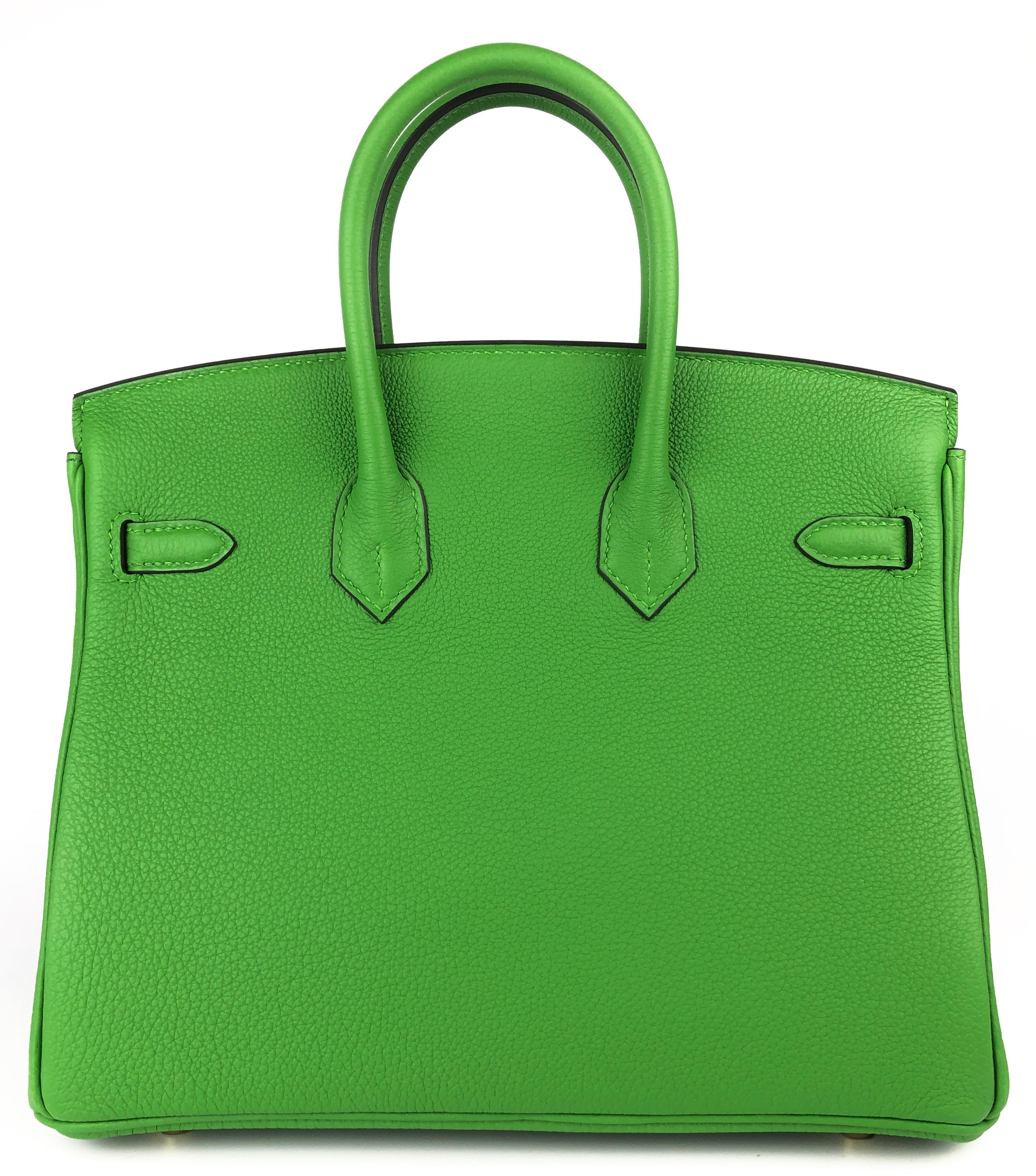 Hermes Birkin 25 Vert Yucca Green Togo Leather Handbag Gold Hardware 2023 Unisexe en vente