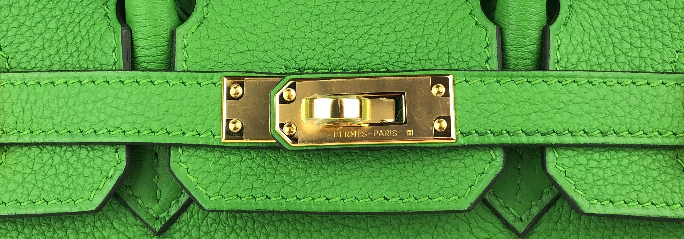 Hermes Birkin 25 Vert Yucca Green Togo Leather Handbag Gold Hardware 2023 For Sale 1
