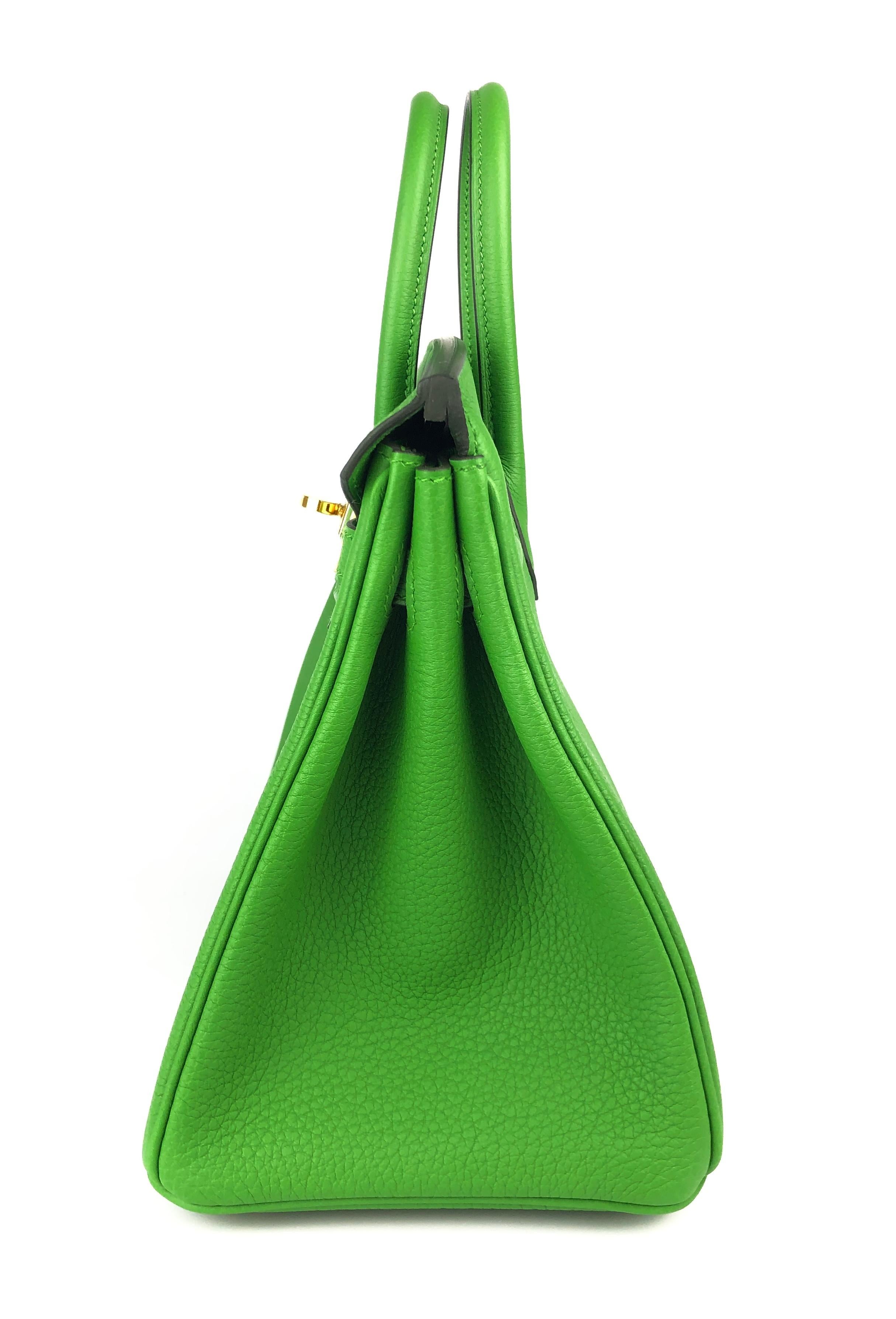 Hermes Birkin 25 Vert Yucca Green Togo Leather Handbag Gold Hardware 2023 en vente 3