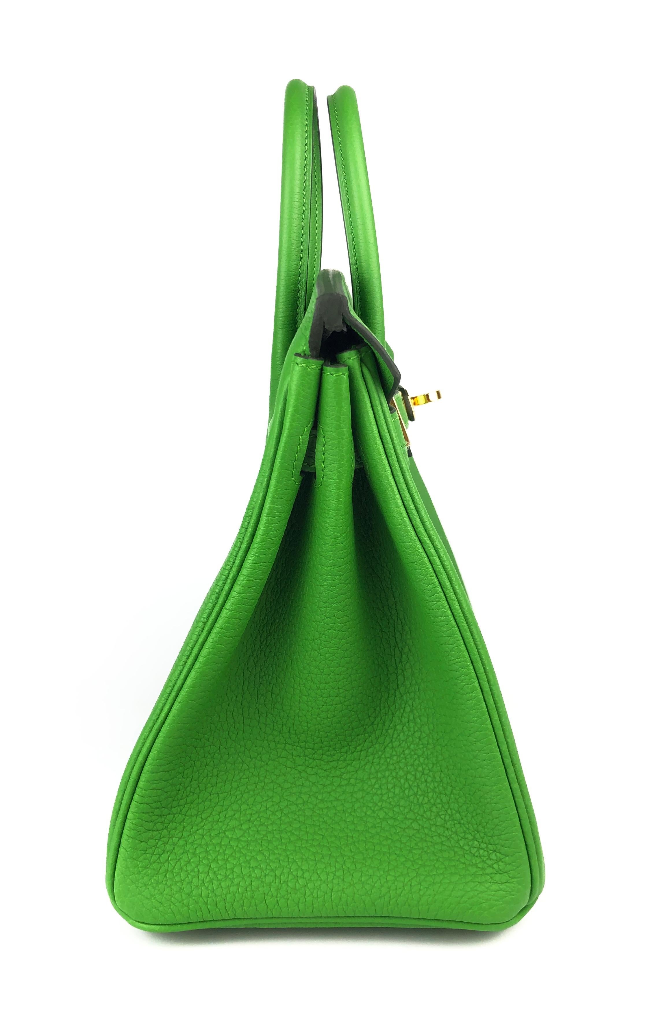 Hermes Birkin 25 Vert Yucca Green Togo Leather Handbag Gold Hardware 2023 en vente 4