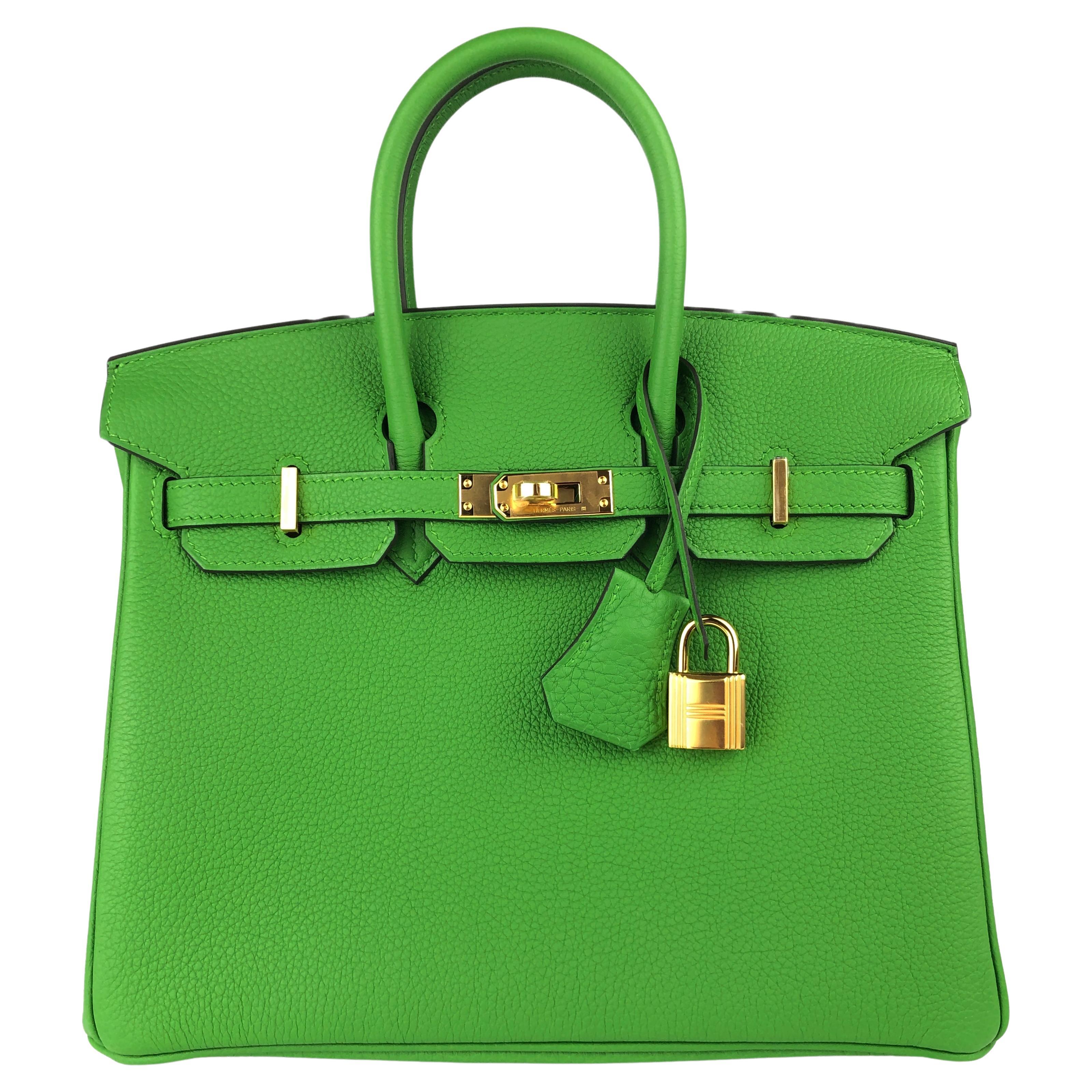 Hermes Birkin 25 Vert Yucca Green Togo Leather Handbag Gold Hardware 2023 en vente