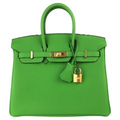 Antique Hermes Birkin 25 Vert Yucca Green Togo Leather Handbag Gold Hardware 2023