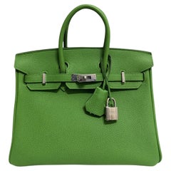 Hermes Birkin 25 Vert Yucca Green Togo Leather Palladium Hardware Top Handle Bag
