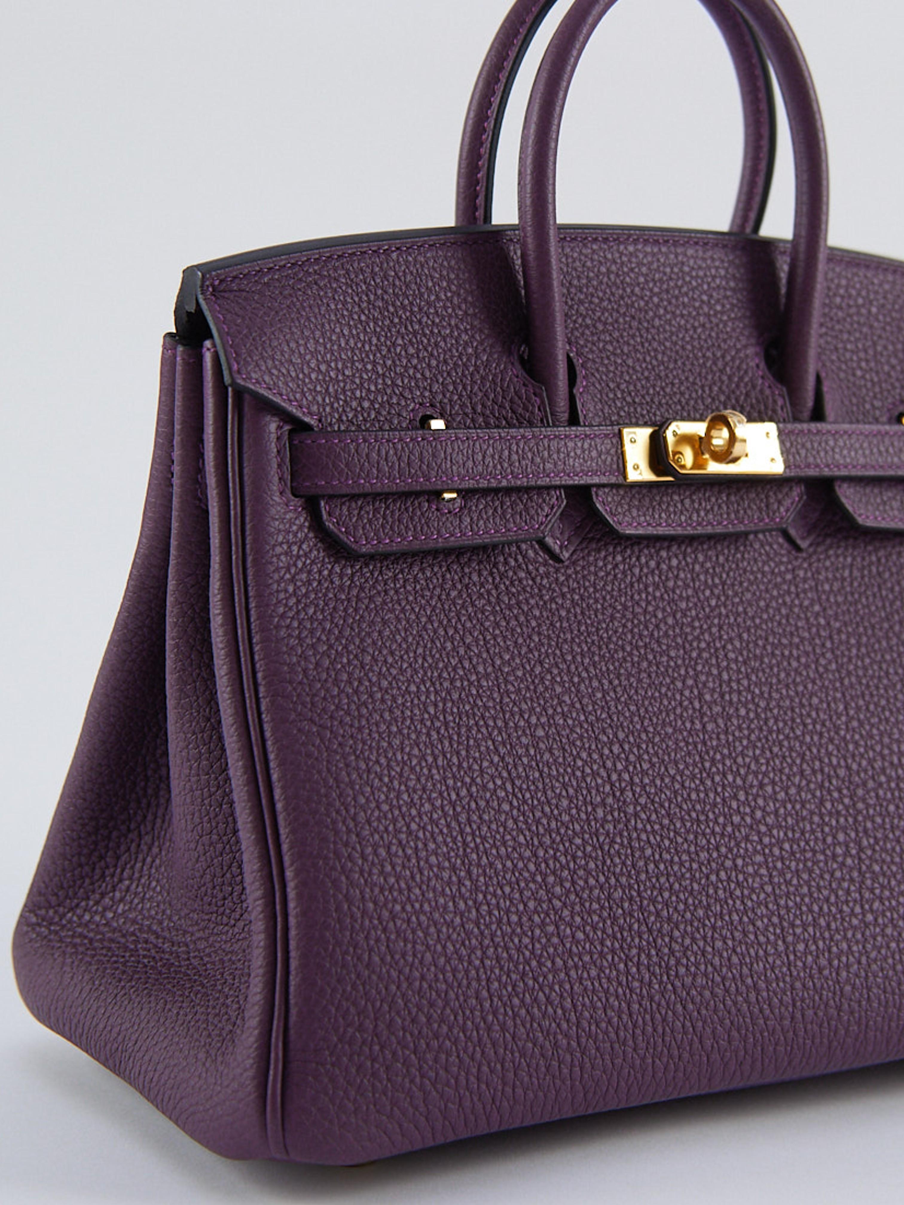 HERMÈS BIRKIN 25CM CASSIS Togo Leather with Gold Hardware In Excellent Condition In London, GB