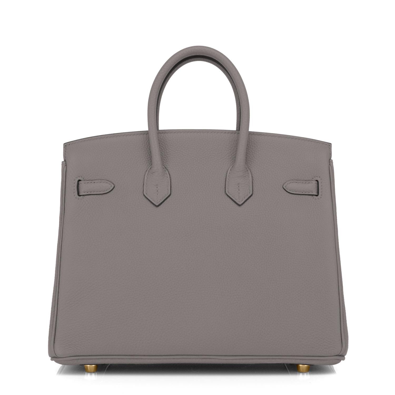 Women's Hermes Birkin 25cm Etain Gold Hardware Grey Bag Z Stamp, 2021 For Sale