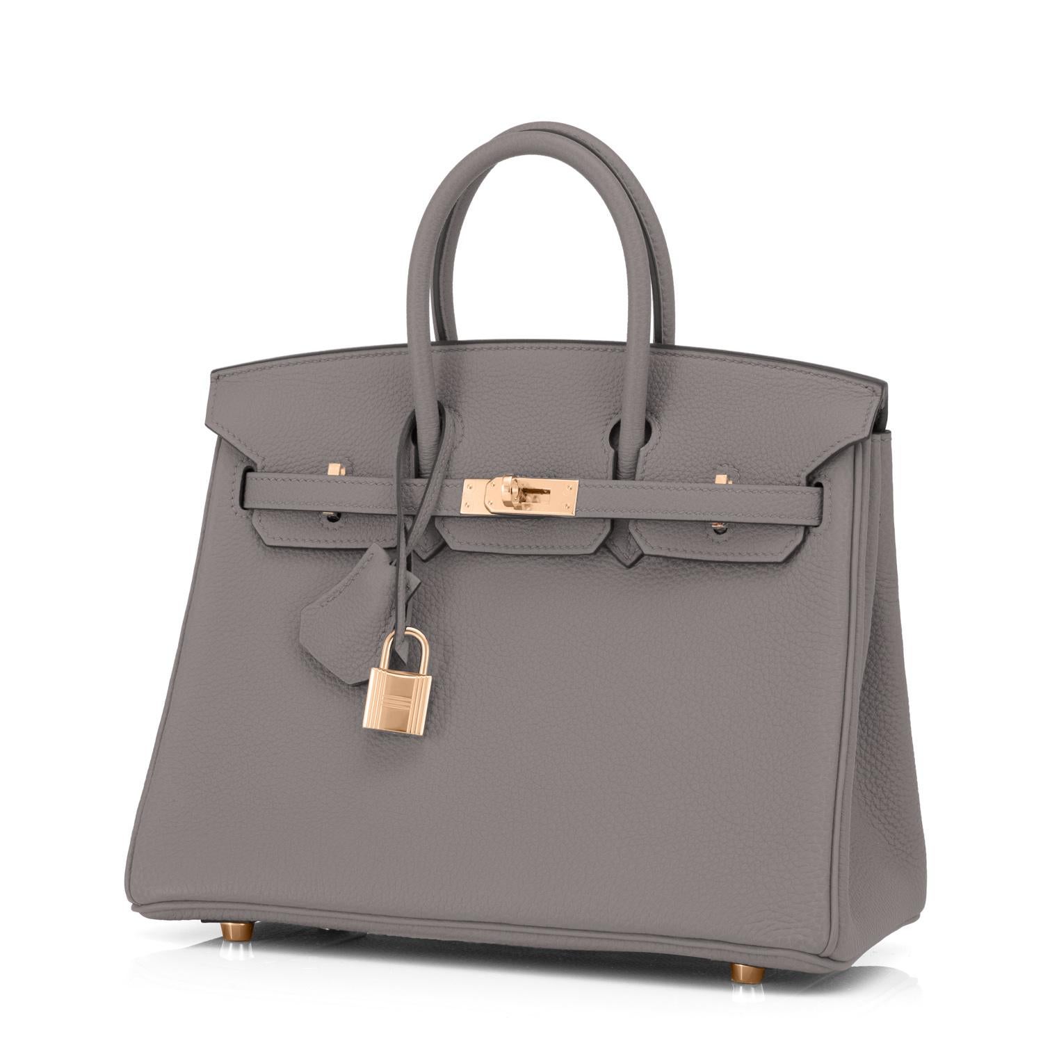 Hermès Birkin 25cm Etain Zinngraue Roségold Hardware Tasche Y Stempel, 2020 im Zustand „Neu“ in New York, NY