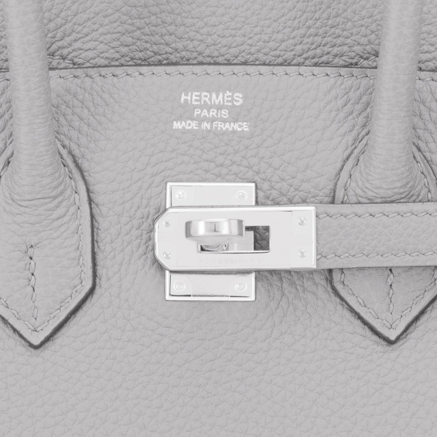 Hermes Birkin 25cm Gris Mouette Grey Togo Bag Palladium Birkin NEW RARE 3