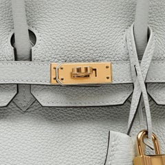 Hermès Birkin 25cm Gris Neve Togo Leather w/Gold Hardware