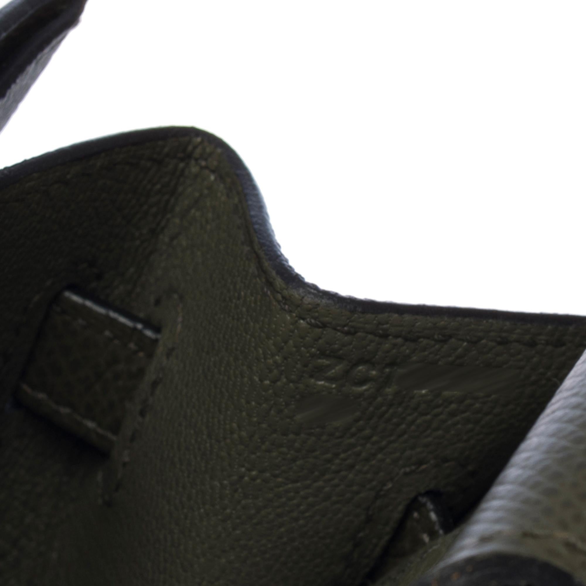 Hermes Birkin 25cm handbag in Vert Amande Epsom Calf leather, GHW For Sale 2