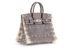 Hermes Birkin 25cm Ombré Lizard with Palladium hardware