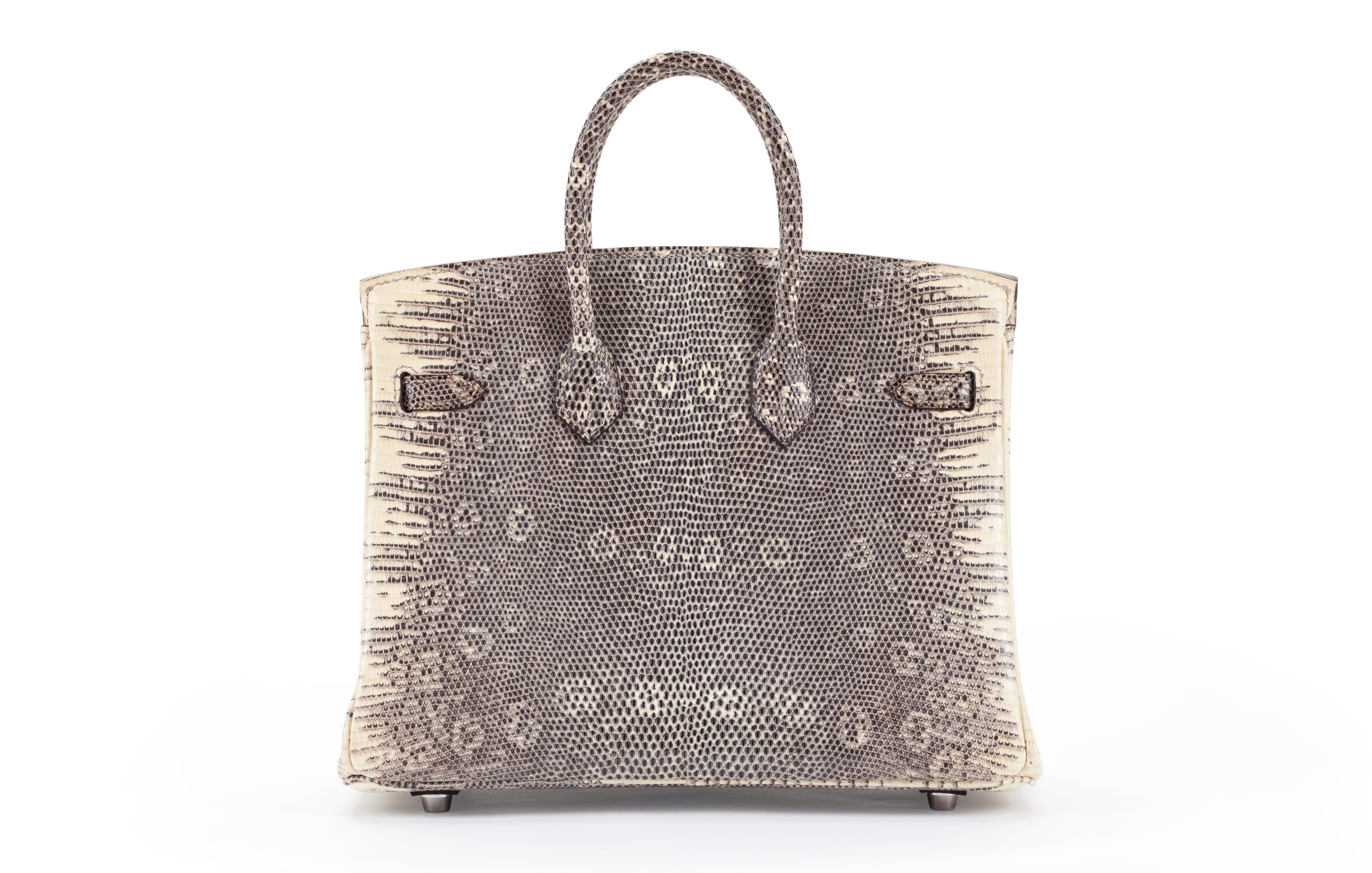 ombre lizard birkin