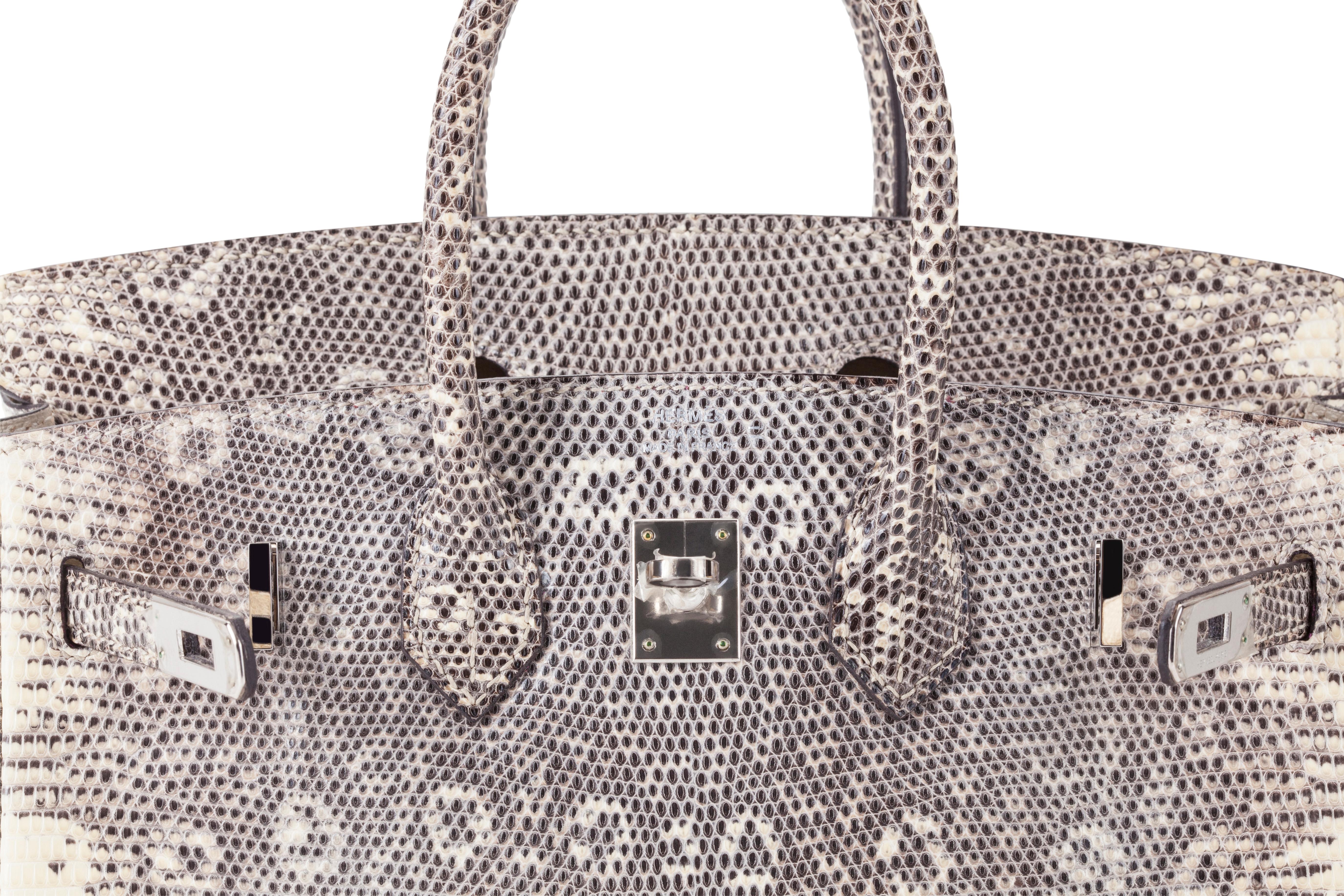 Hermes Birkin 25cm Ombré Lizard with Palladium hardware In New Condition For Sale In Sheridan, WY