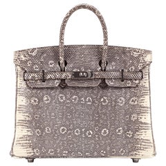 Hermes Birkin 25cm Ombré Lizard with Palladium hardware