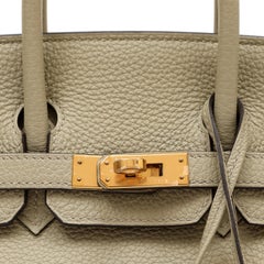 Hermes Birkin 25cm Sage Togo with Gold Hardware