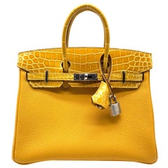 Hermes Birkin 25 Shiny Crocodile and Togo Bag