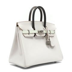 Hermès Birkin 25cm Tricolor Gris Vert Fizz Graphite Epsom w/Palladium Hardware