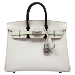 Hermès Birkin 25cm Tricolor Gris Vert Fizz Graphite Epsom w/Palladium Hardware