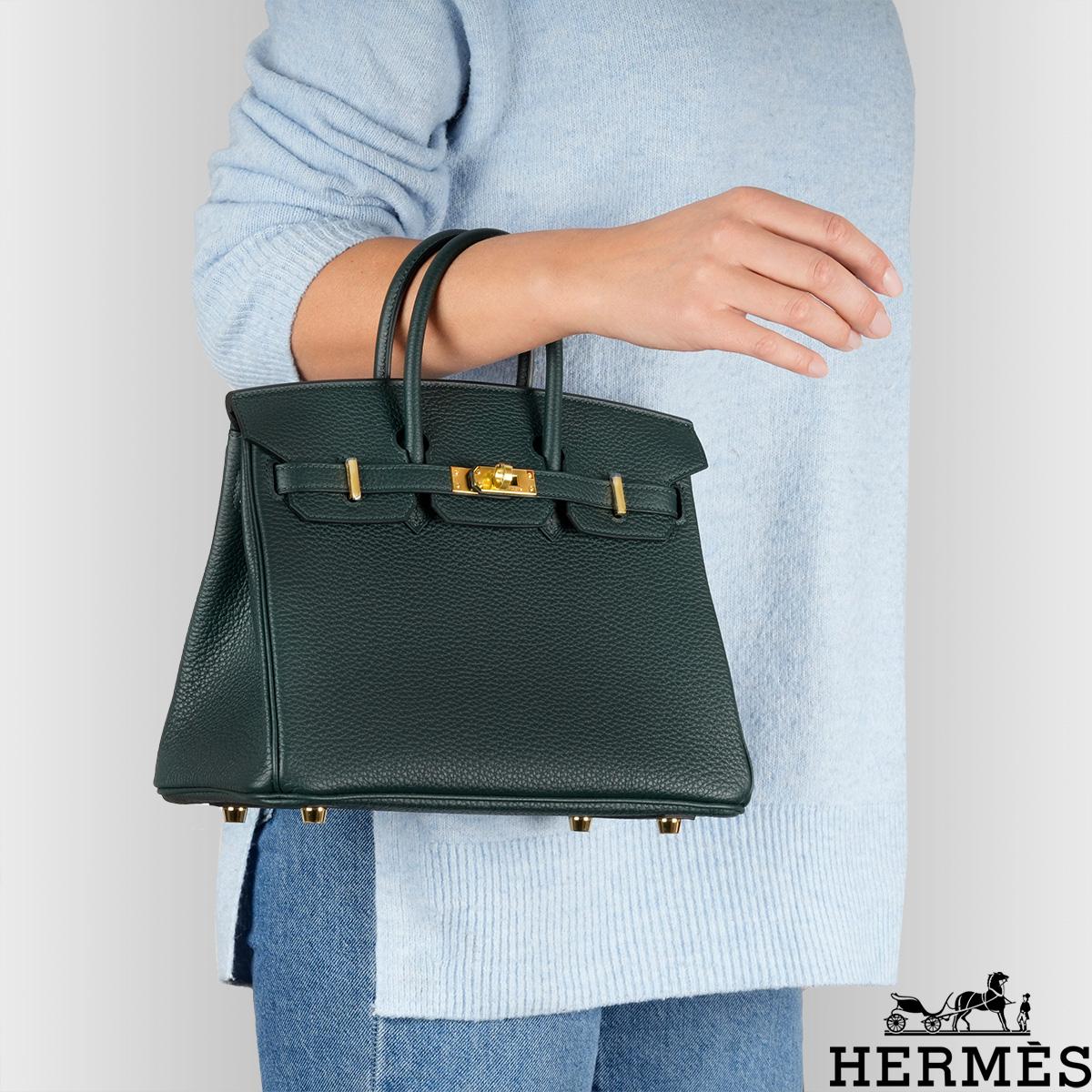 Hermès Birkin 25cm Vert Cypress Togo GHW 6