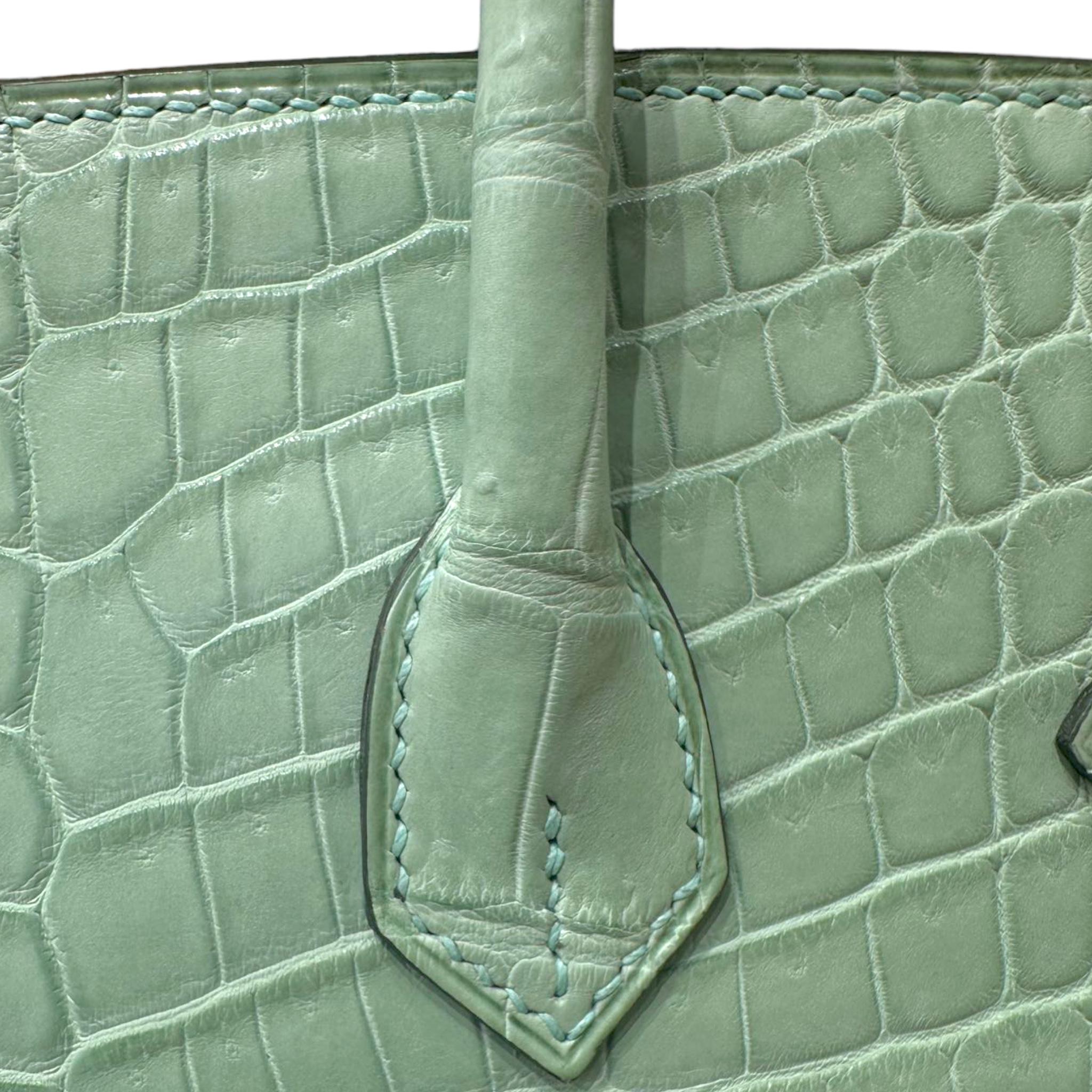 Women's or Men's Hermes Birkin 25cm Vert D Eau Moreletti Matte White Gold Diamond Hardware For Sale