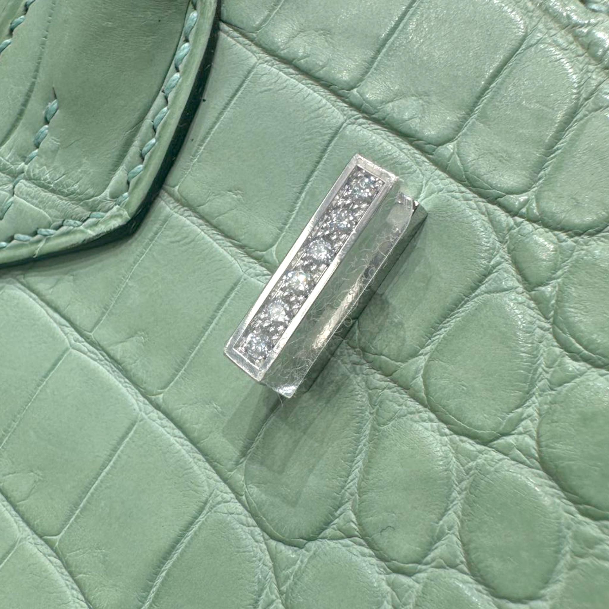 Hermes Birkin 25cm Vert D Eau Moreletti Matte White Gold Diamond Hardware For Sale 3