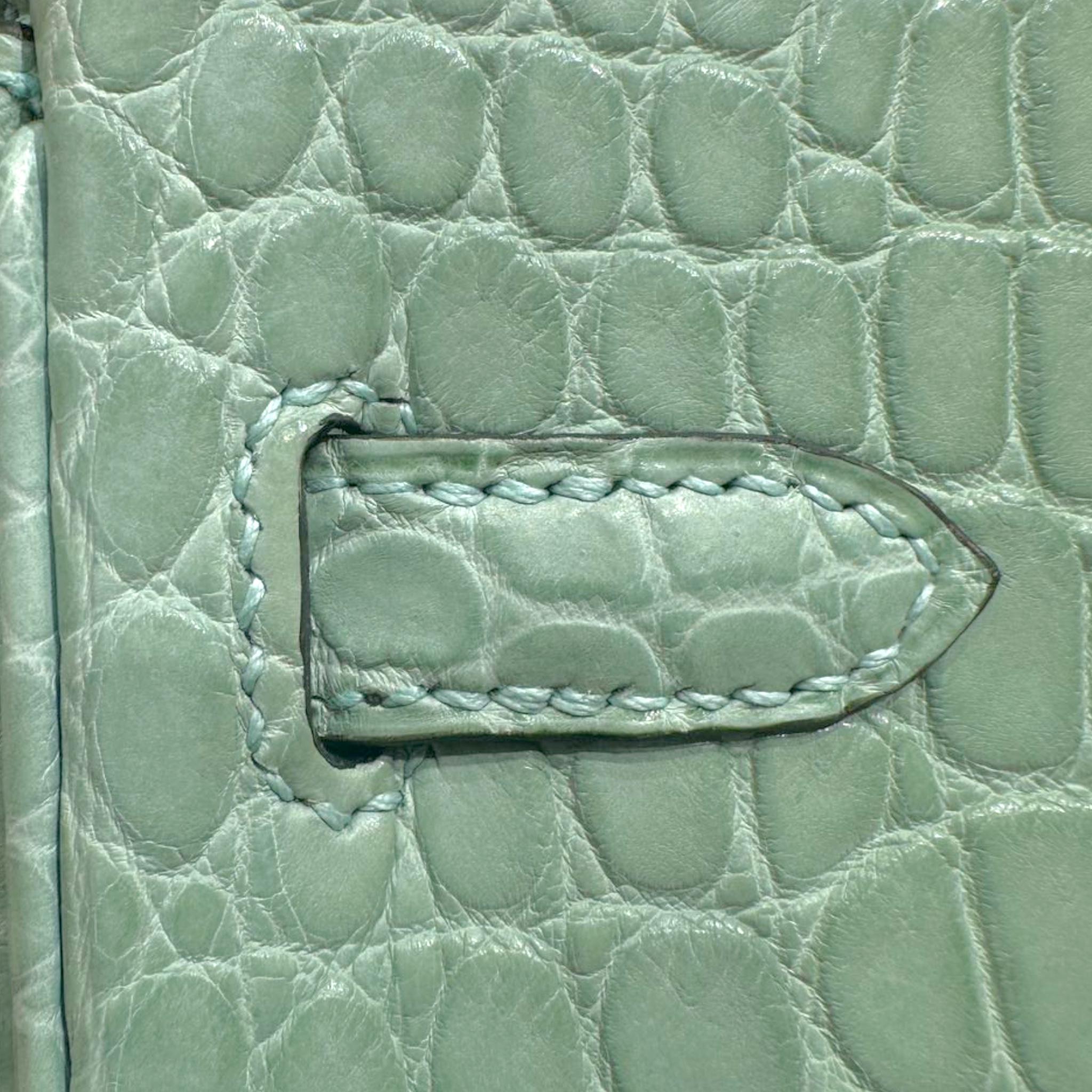 Hermes Birkin 25cm Vert D Eau Moreletti Matte White Gold Diamond Hardware For Sale 2