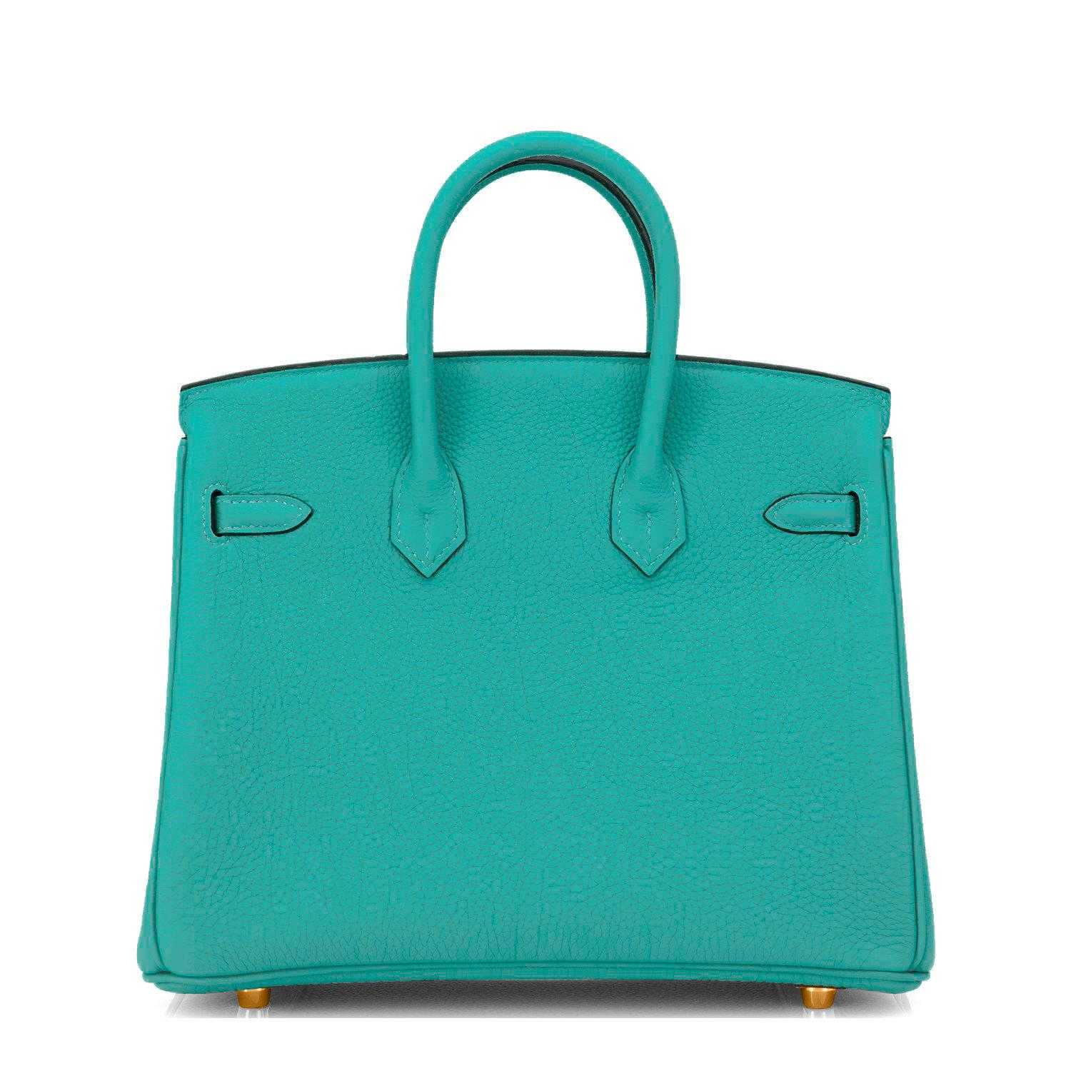 Hermes Birkin 25cm Vert Verone Jewell-Toned Lagoon Togo Gold HardwareBag NEW 1