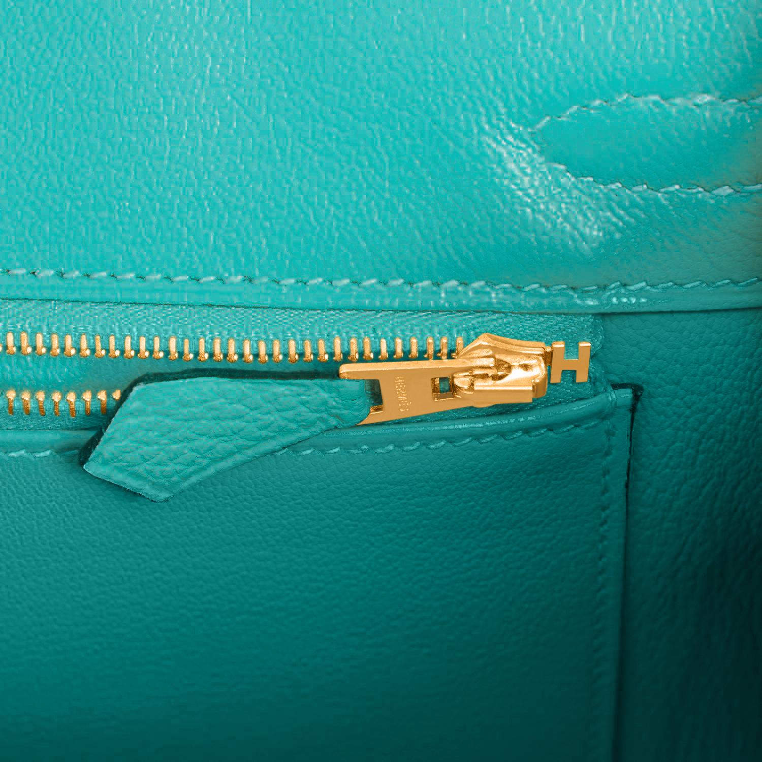 Hermes Birkin 25cm Vert Verone Jewell-Toned Lagoon Togo Gold HardwareBag NEW 4