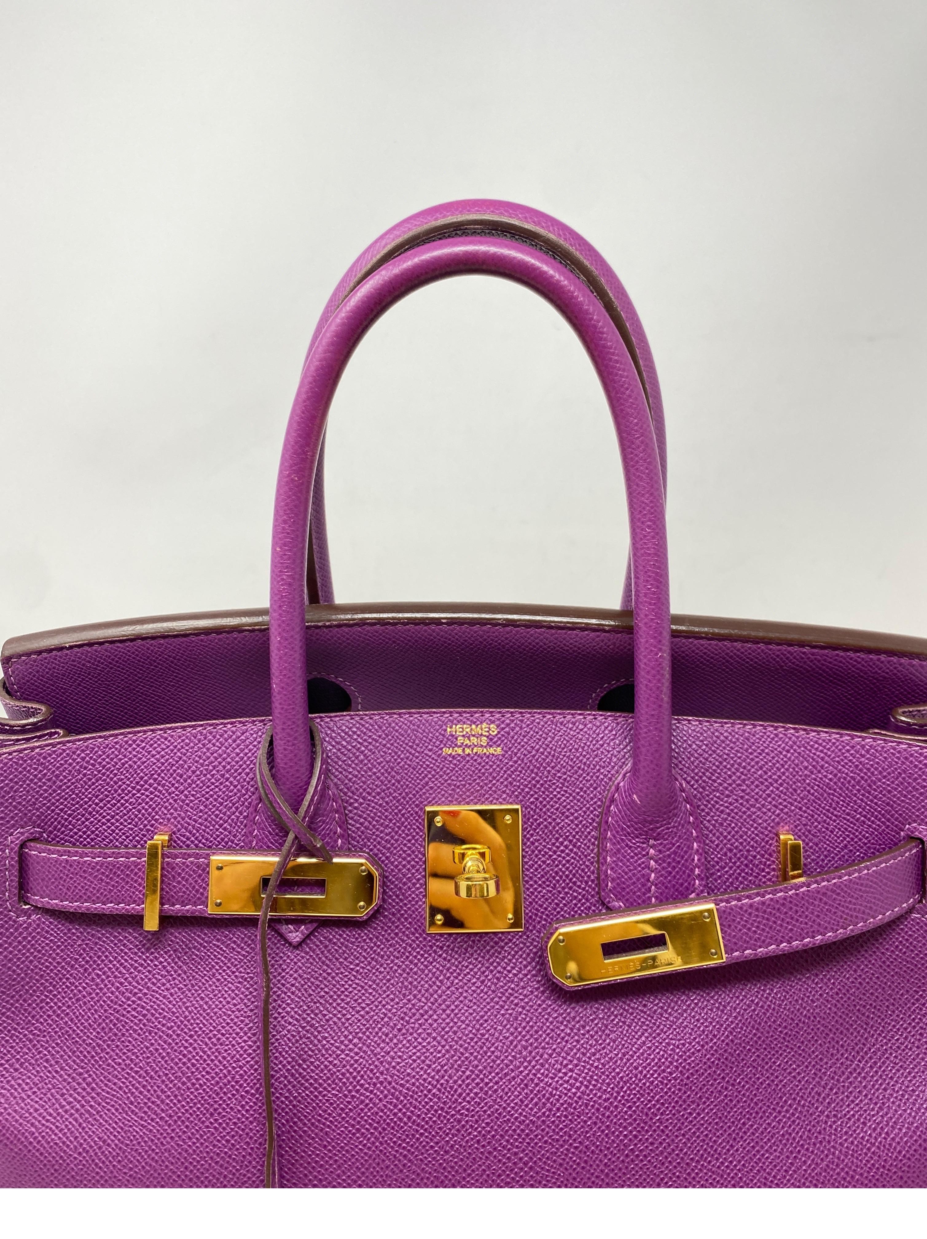 Hermes Birkin 30 Anemone Bag 4
