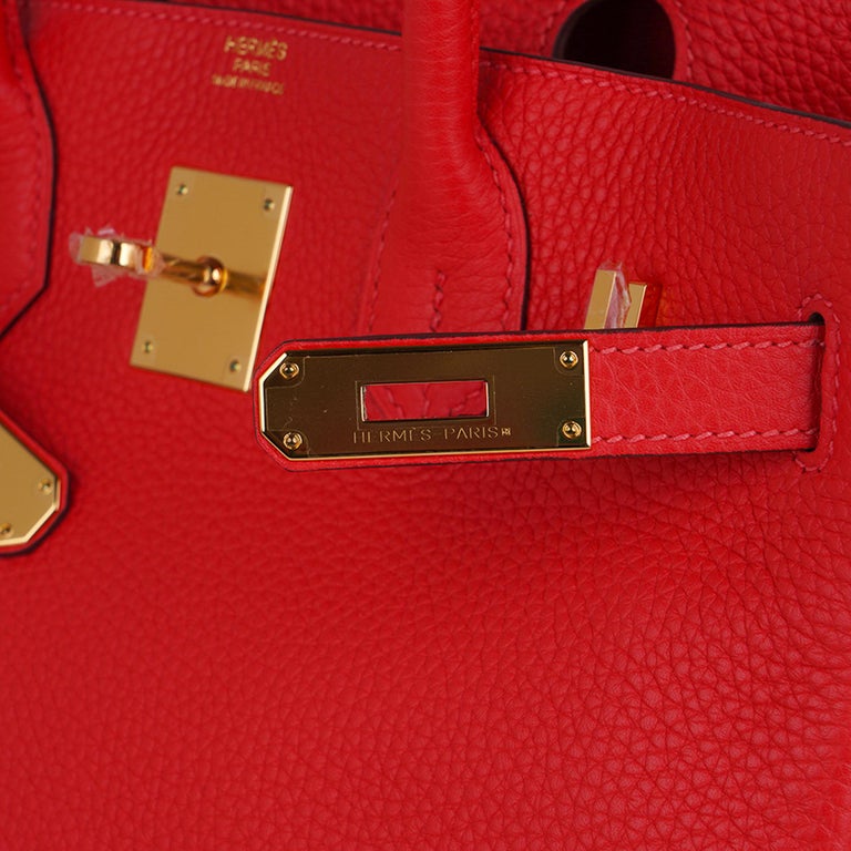 Hermès Hermès Birkin 25 Togo Leather Handbag-Capucine Gold