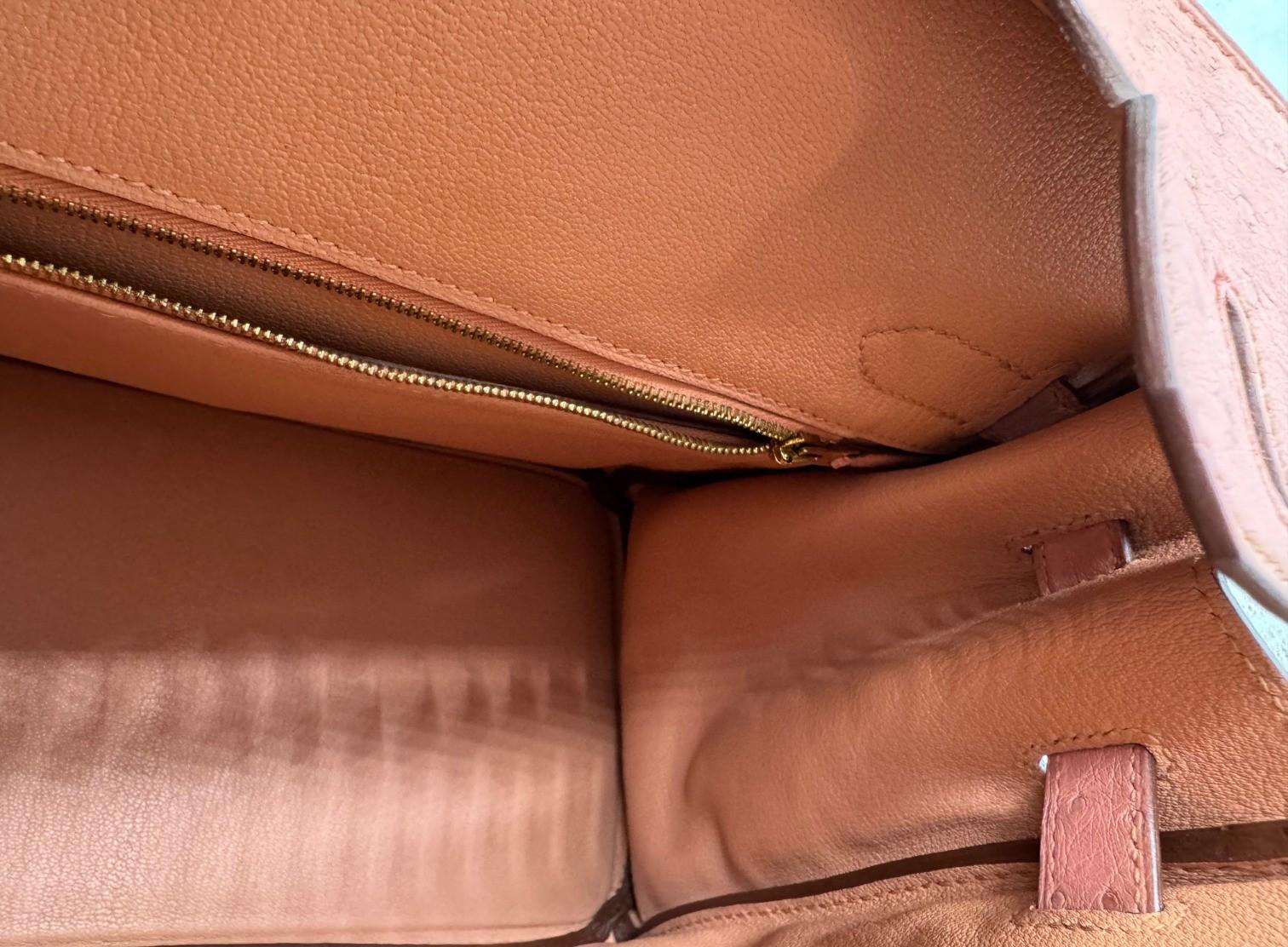 Hermès Birkin 30 Bag in Terre Cuite Ostrich with Gold Hardware en vente 5