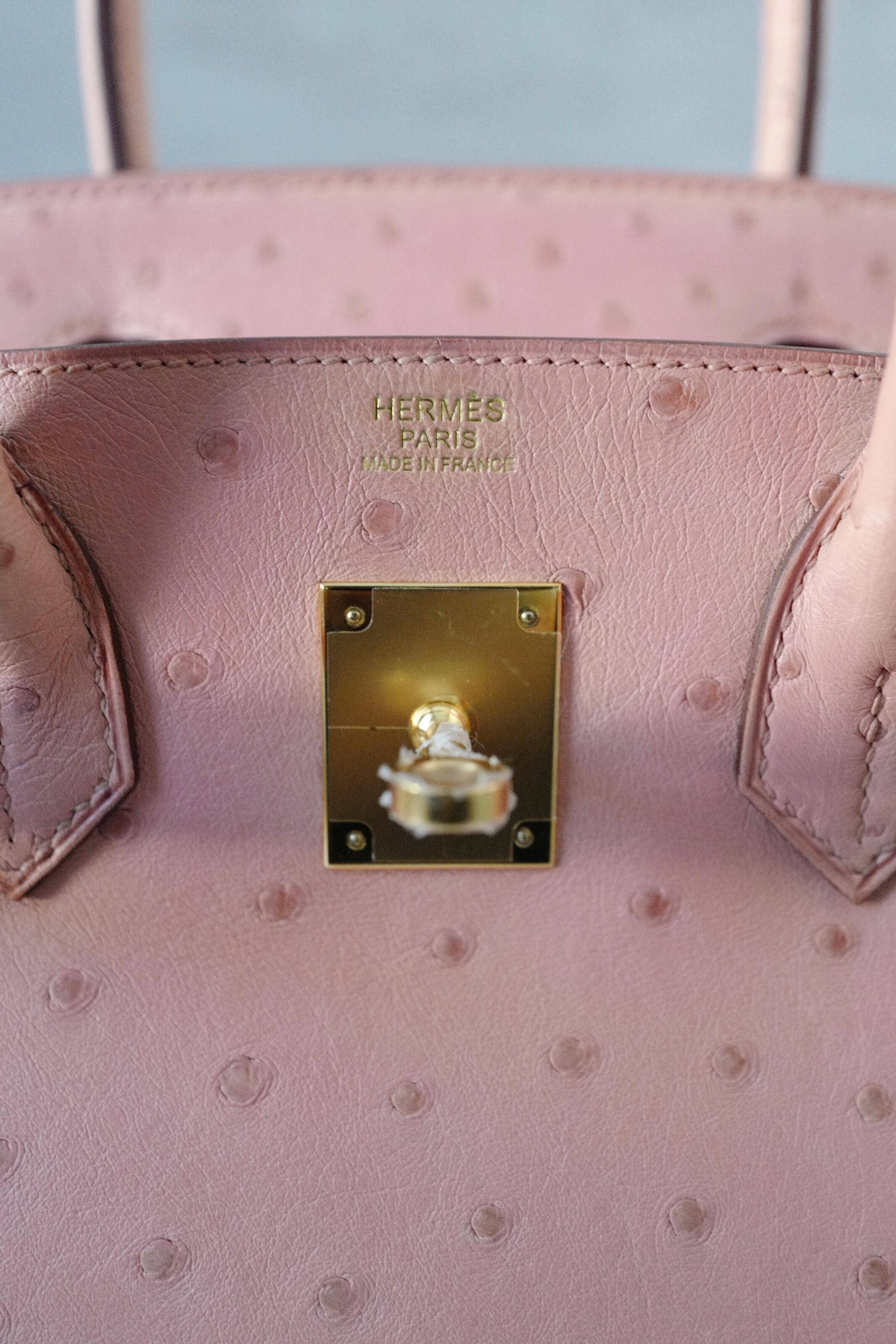 Hermès Birkin 30 Bag in Terre Cuite Ostrich with Gold Hardware en vente 8