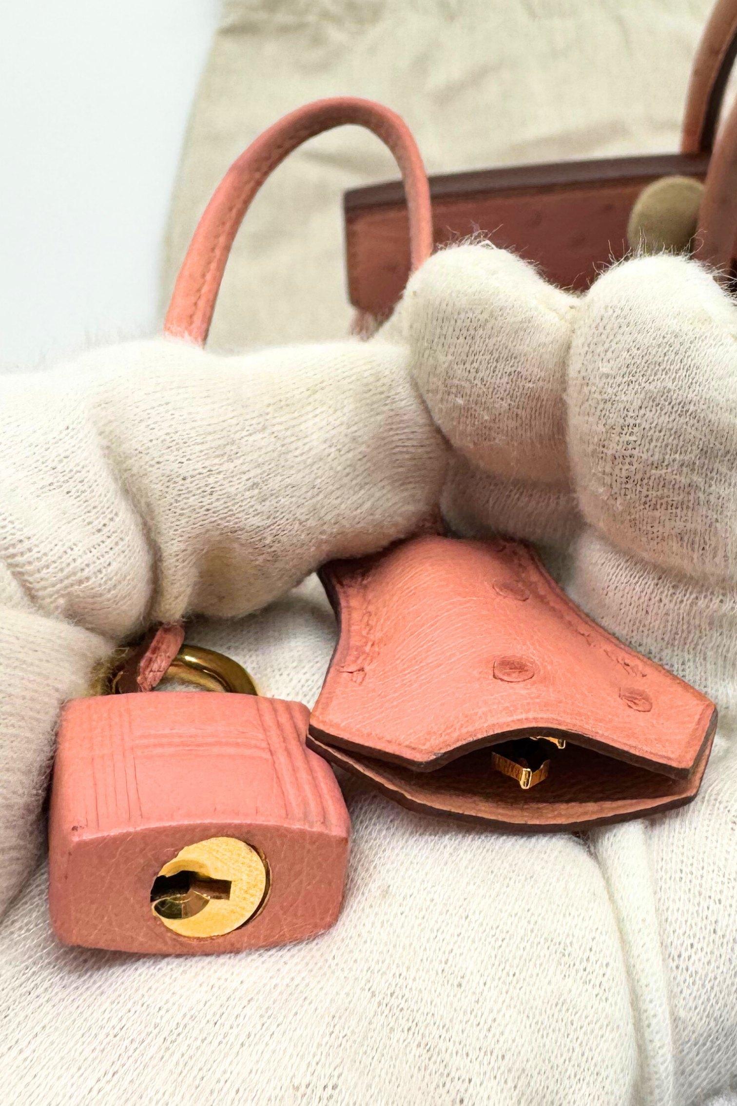 Hermès Birkin 30 Bag in Terre Cuite Ostrich with Gold Hardware en vente 10
