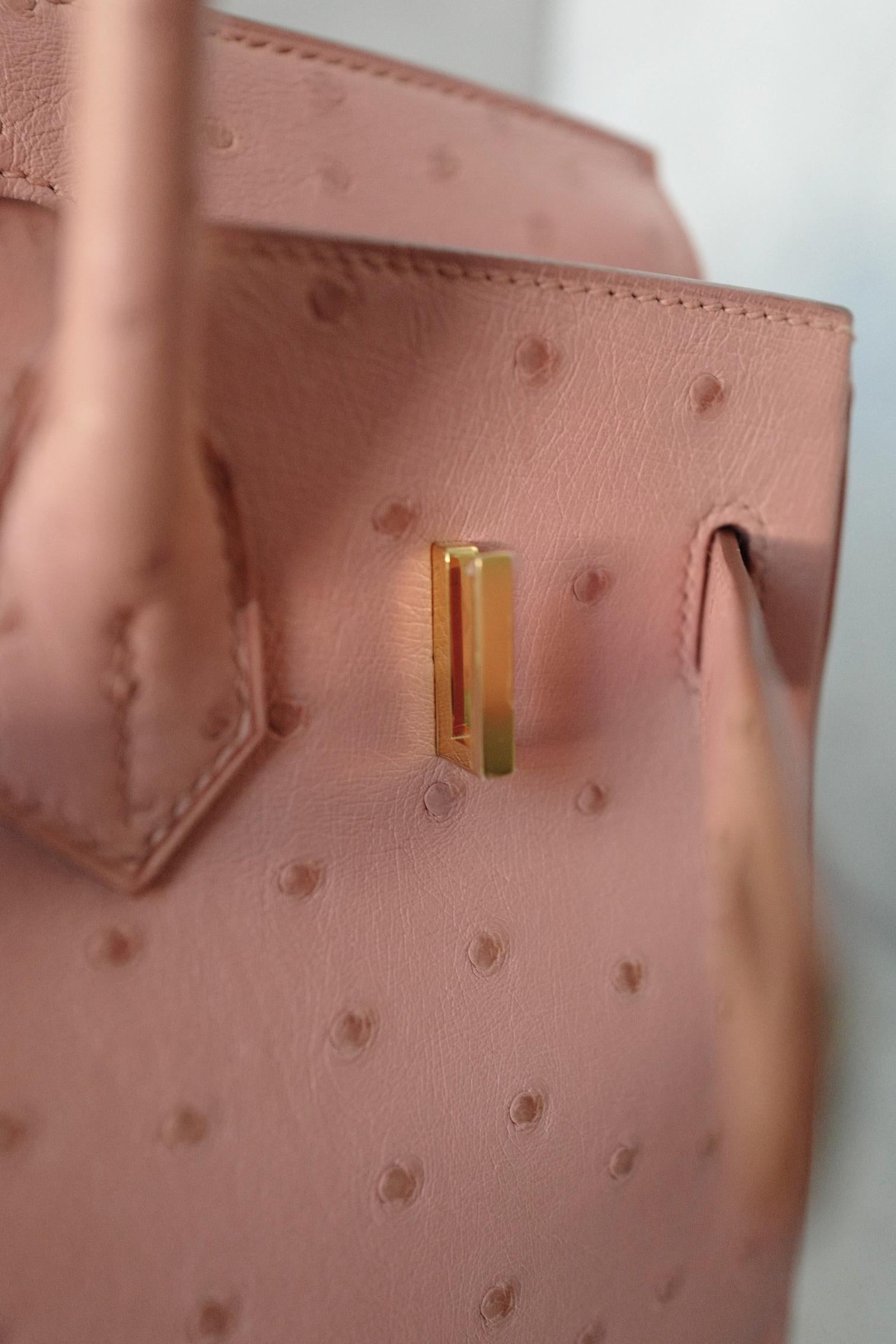 Hermès Birkin 30 Bag in Terre Cuite Ostrich with Gold Hardware en vente 14