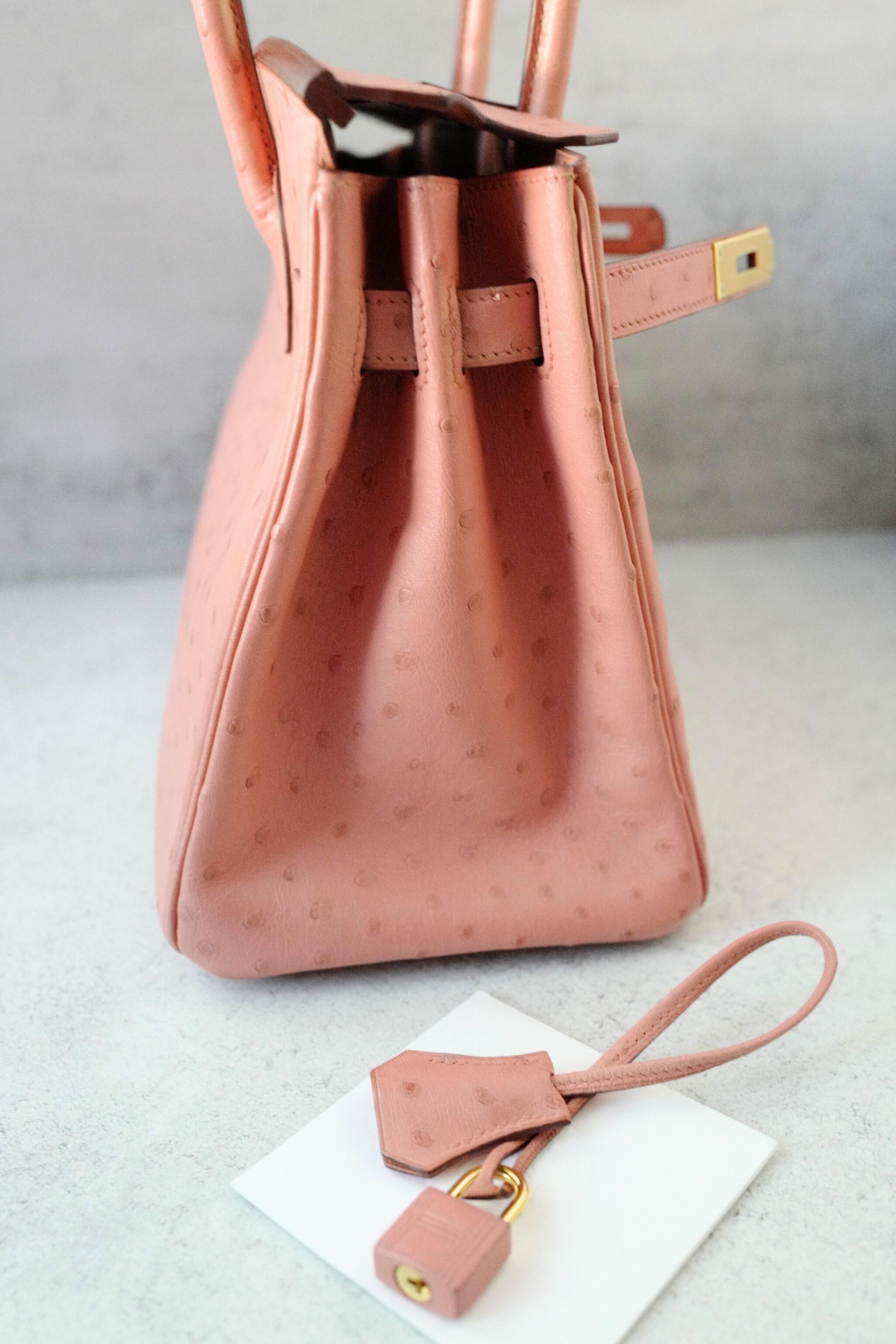 Hermès Birkin 30 Bag in Terre Cuite Ostrich with Gold Hardware en vente 1