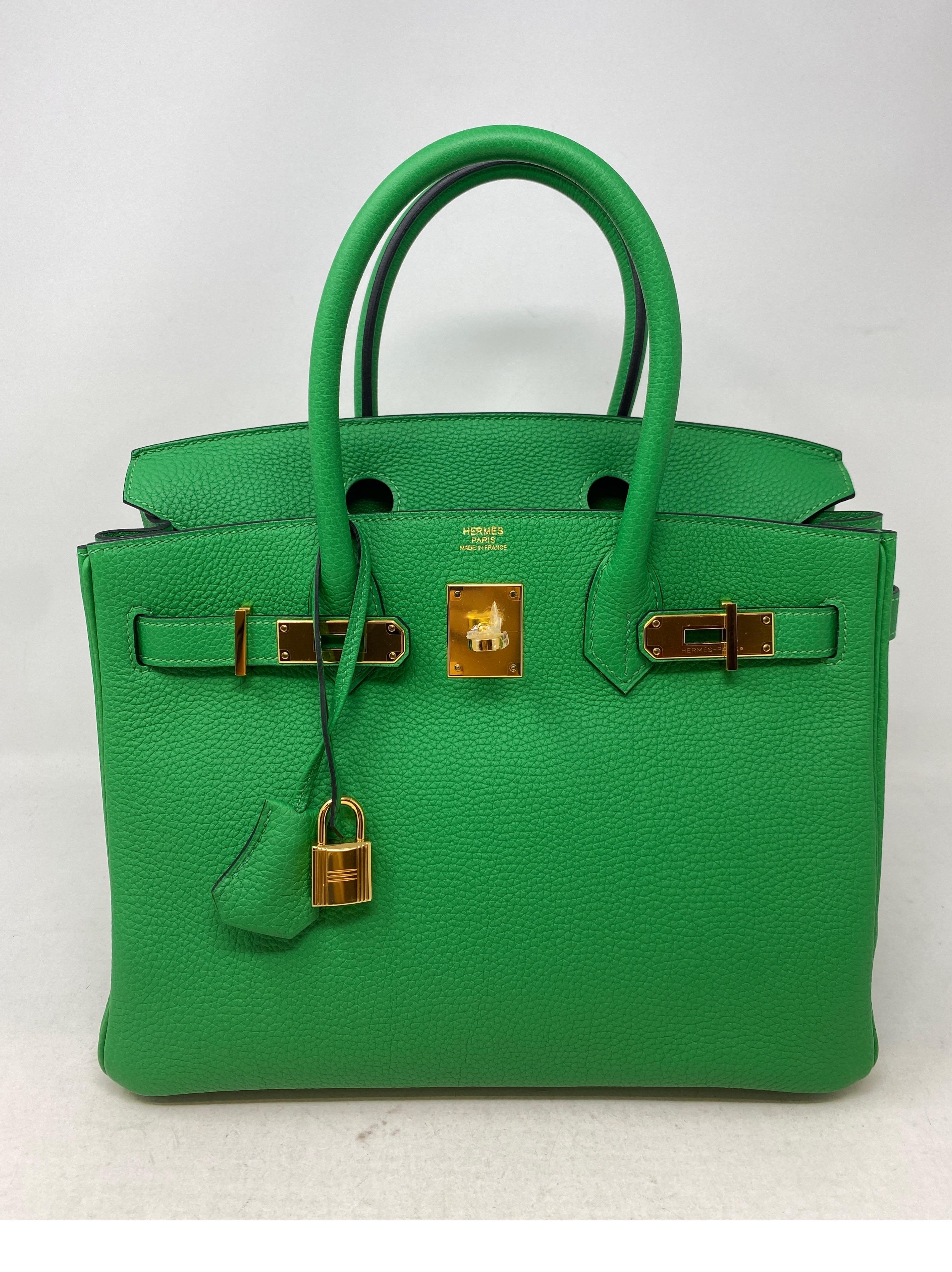 Hermes birkin 2025 bamboo green
