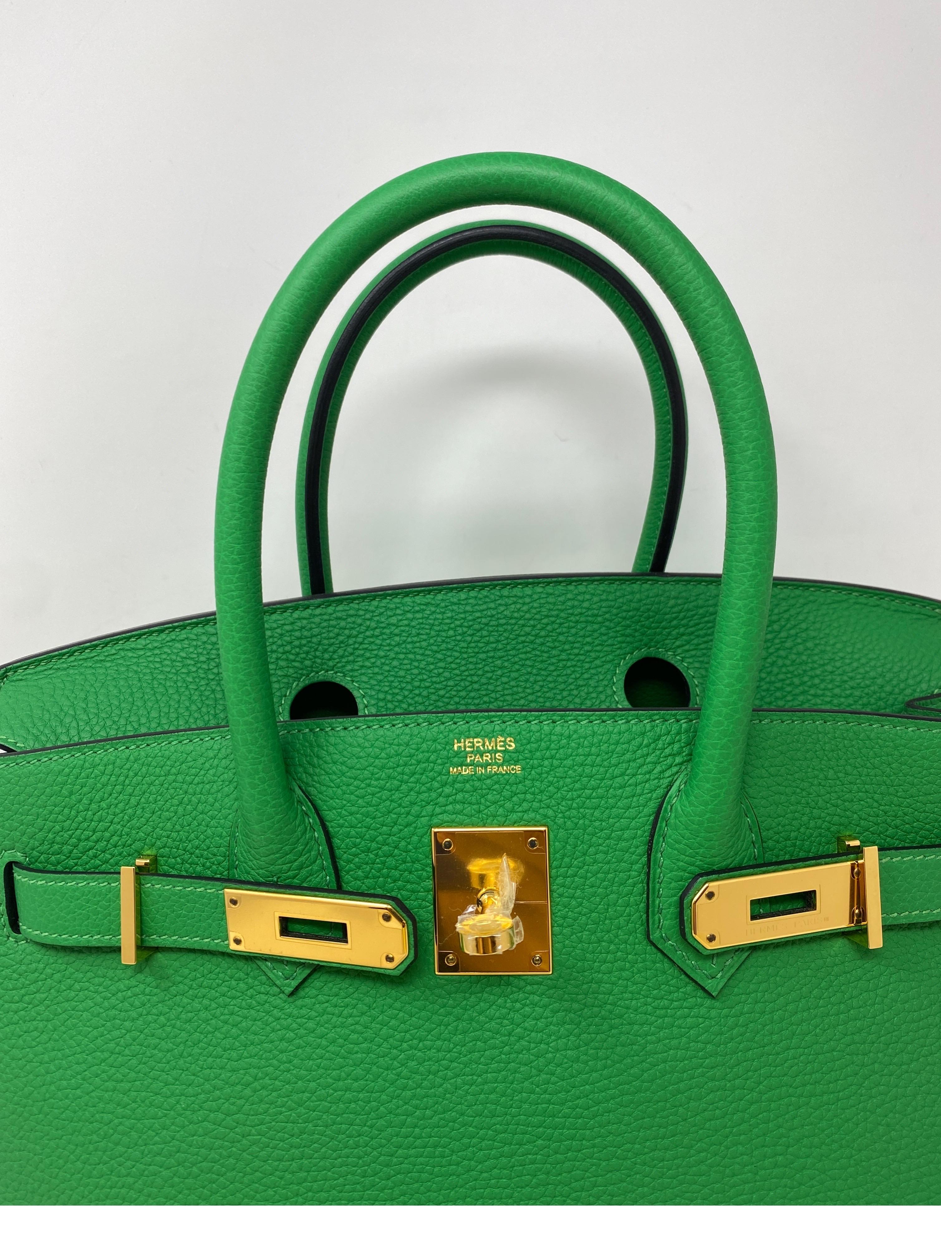 birkin 30 price