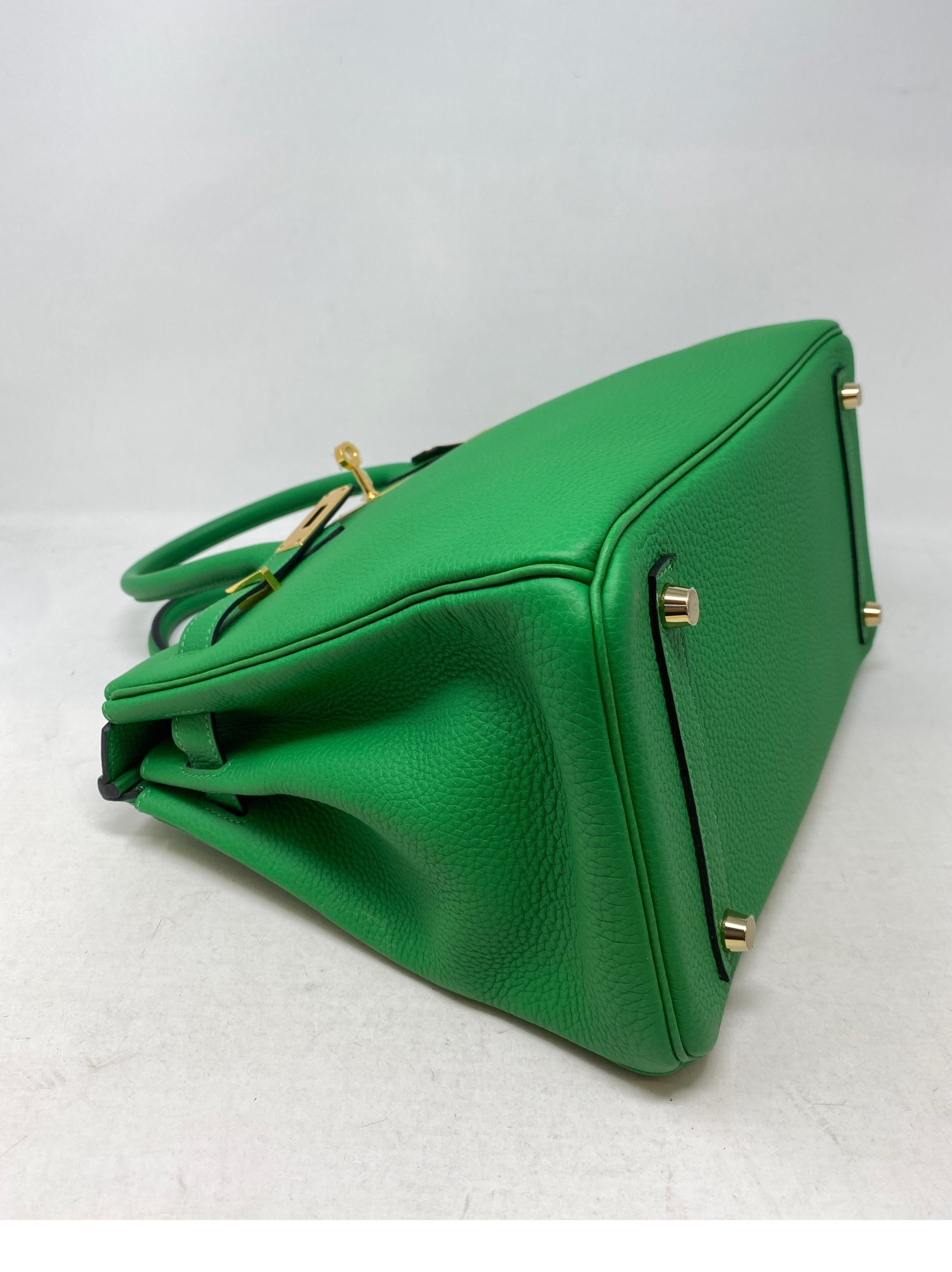 Green Hermes Birkin 30 Bamboo Bag