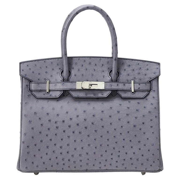 Hermes Ostrich 16 En vente sur 1stDibs France sac a dos homme