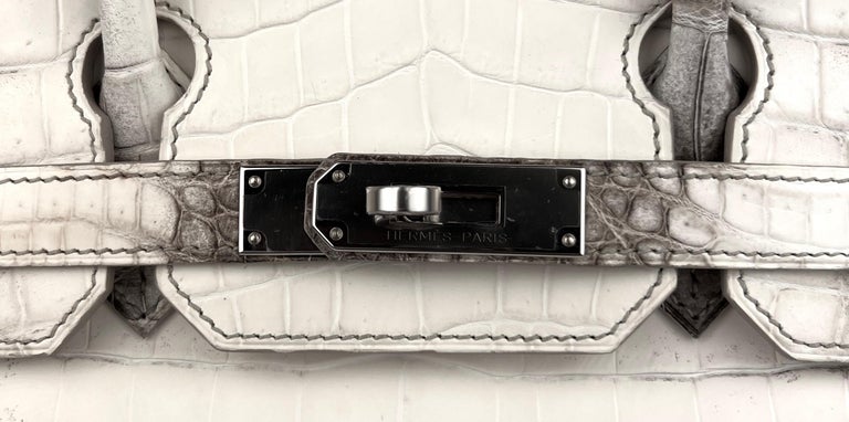 HERMÈS Himalaya Birkin 30 handbag in Matte Nile Croc with Palladium  hardware-Ginza Xiaoma – Authentic Hermès Boutique