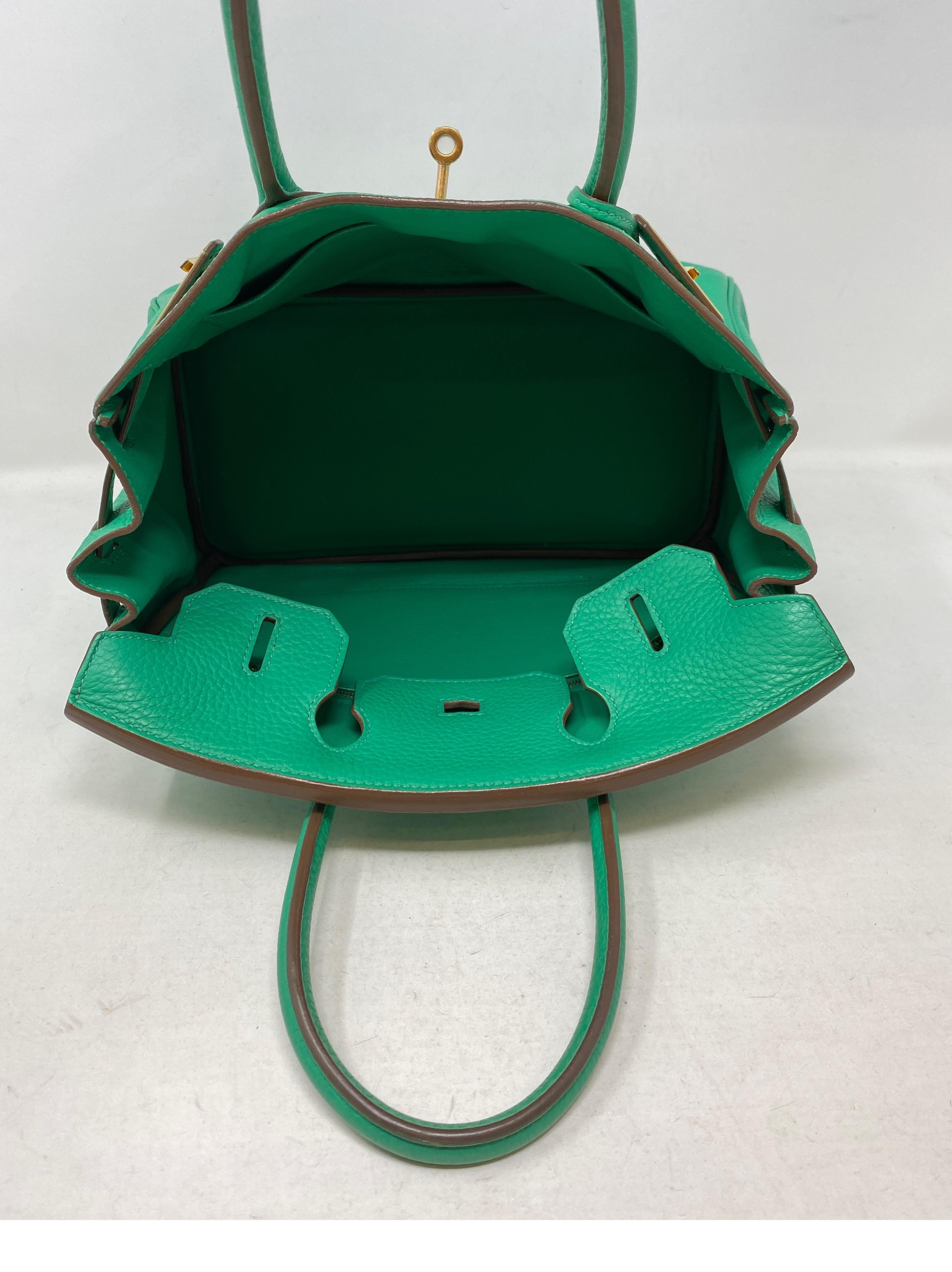 Hermes Birkin 30 Menthe Bag 12