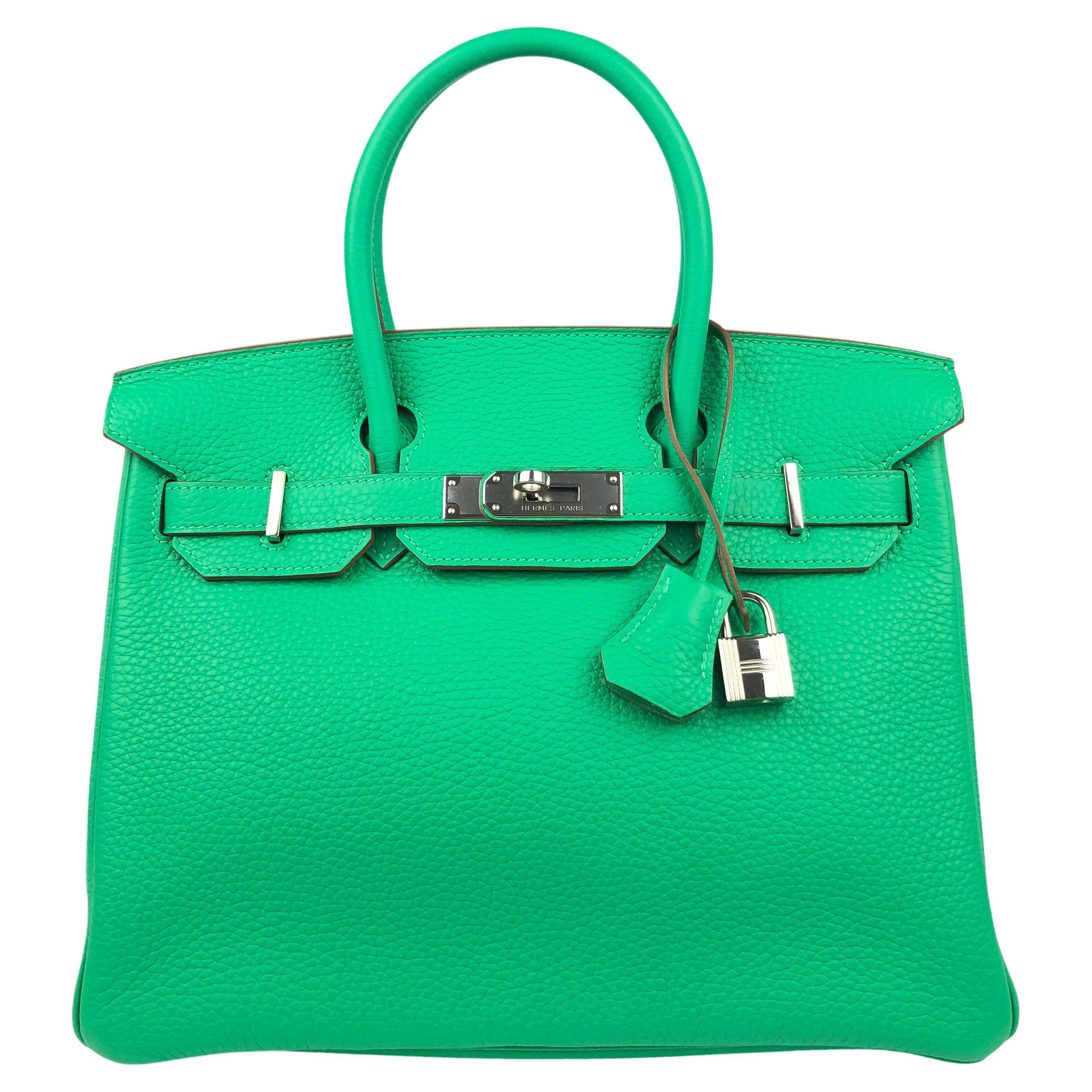 Hermes Birkin Bag Togo Leather Palladium Hardware In Mint Green
