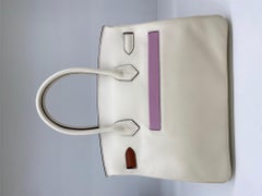 Hermes Birkin 30 Nata Colourmatic PHW