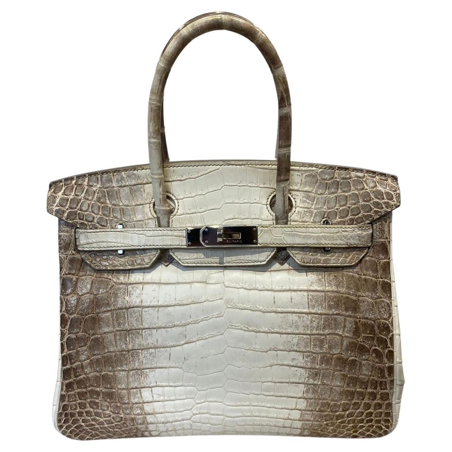Hermès Birkin 30 Niloticus Himalayan Blanc bag For Sale at 1stDibs